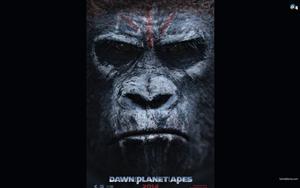 Dawn Of The Planet Of The Apes